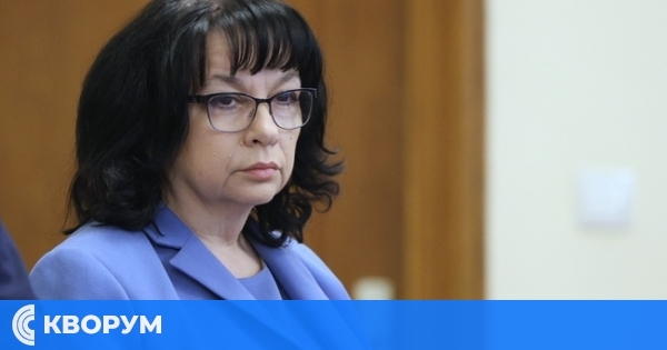 Теменужка Петкова: Близо 29 на сто е спаднал оборотът на търговските вериги в деня на бойкота