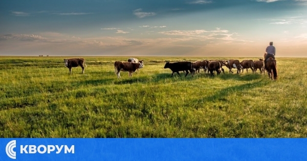 Община Главиница обяви списъците с пасища, мери и ливади за ползване