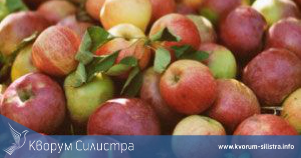 Земеделец от Нова Черна дари 30 тона ябълки в знак на протест