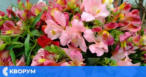Турция изнесе 75 млн. стръка цветя за 8 март, България сред водещите вносители