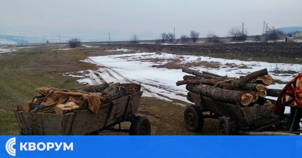Конфискуваха седем каруци през февруари
