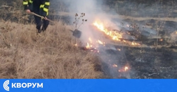 Горски пожари в Румъния изпепелиха над 8000 хектара – жертви и ранени в огнената стихия