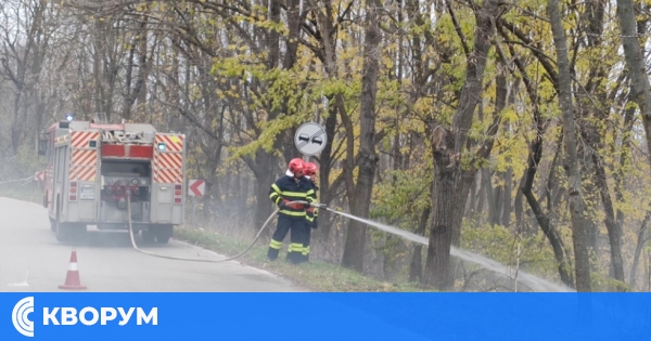 Пожари застрашиха лозе и пчелин край Силистра и Тутракан