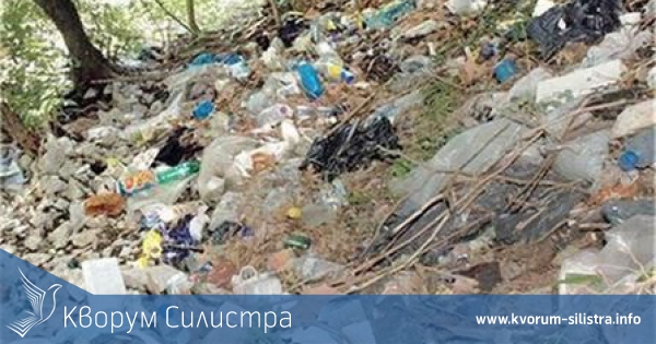 По заповед на кмета разчистиха сметище в жилищна сграда