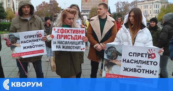 Протест в Силистра срещу насилието над животни: Искане за ефективни наказания