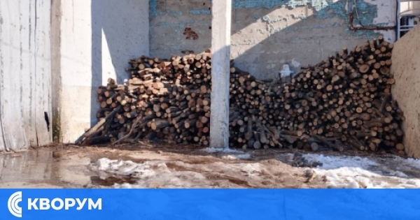 Община Ситово предлага дърва за огрев – акация, с включен транспорт