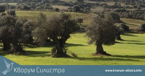 По десет хиляди лева за общините Силистра, Дулово и Тутракан от кампанията "За чиста околна среда"