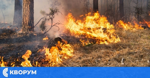 Пожар край Пожарево едва не обхвана гора – огнеборци от Тутракан предотвратиха разрастването