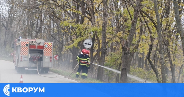 Пожар в беседка в село Калипетрово овладян от местни жители преди пристигането на огнеборците