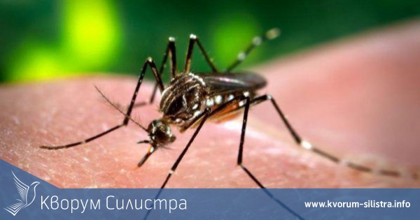 Пръскат срещу комари тази вечер