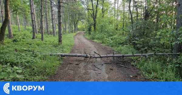 Слънчев петък