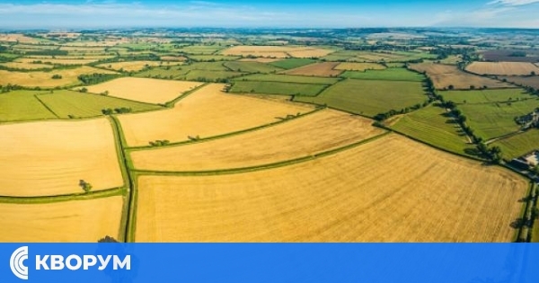 Община Главиница обявява търг за отдаване под наем на земеделски земи от общинския поземлен фонд