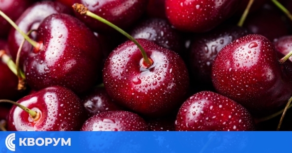 Цената на черешите в Силистра преди Задушница достига до 20 лв./кг заради масови измръзвания