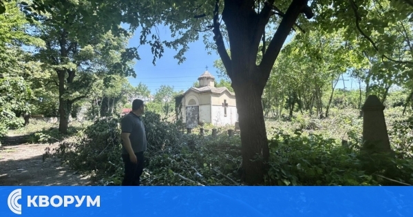 Кметът на Силистра обяви мащабно почистване на изоставен гробищен терен