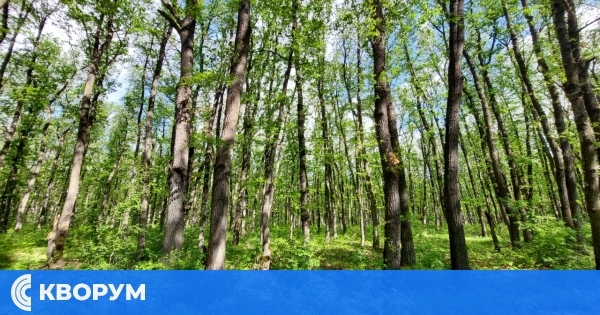 По-малко нарушения в горите през месец май
