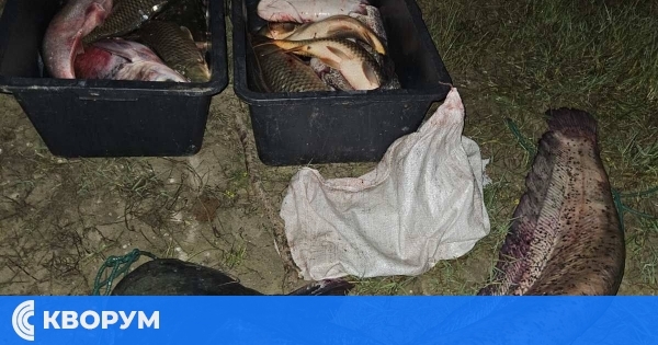 Нелегален улов в Дунав с електрически ток разкрит с нощен уред от ИАРА