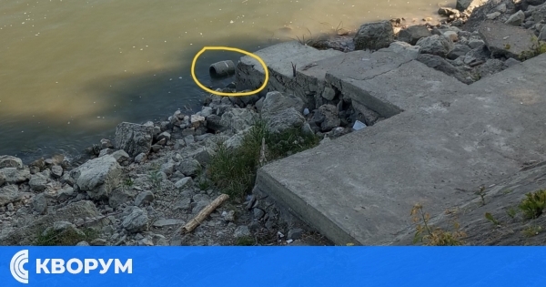 Каменно кошче от Дунавския парк – в реката: възмутени граждани вдигат глас в социалните мрежи