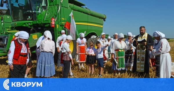 Жътвата като обред и послание: Белица съхранява българския дух с възстановка на "Първа жътва"