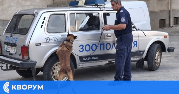 Полицейско куче показа умения пред децата на Силистра на площад "Свобода"
