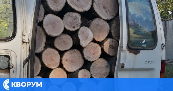 61 кубика незаконна дървесина задържани в горите на Северноцентрална България през юни