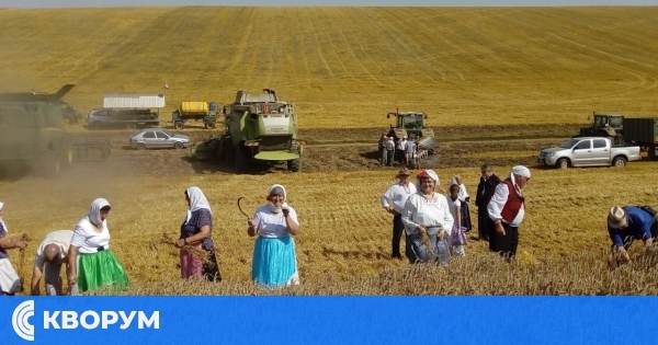 Село Гарван се готви за официалното откриване на Бялата жътва на 3 юли