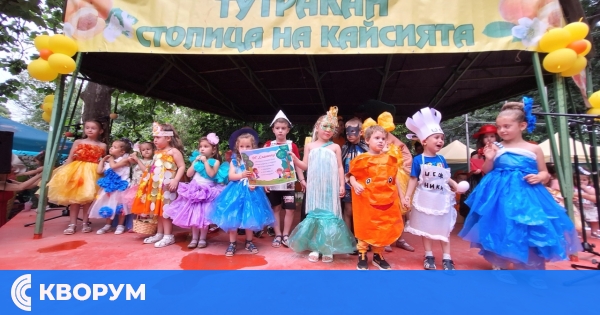 За първи път от 20 години: Тутракан без Празник на кайсията през 2025 г.