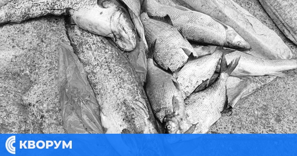 Хванаха бракониери с риболовен кораб край Тутракан, изземват мрежи и съставят актове