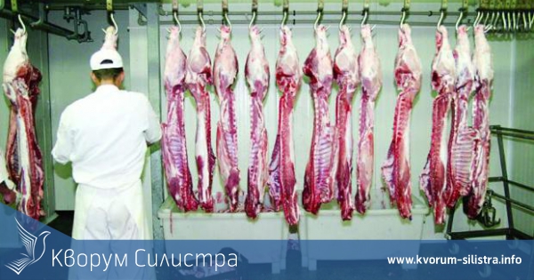 Месокомбинат в Силистра беше затворен заради 4,2 тона развалено месо