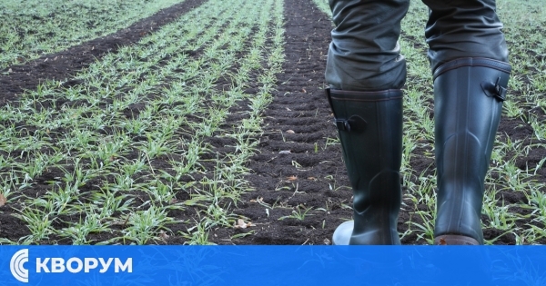 ЕК предлага до 2032 г. пенсионерите да бъдат изключени от земеделските субсидии