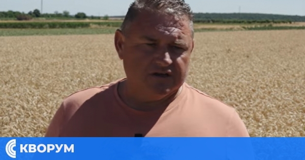 Фермер от Главиница: Допълвам зърнопроизводството с отглеждане на тютюн и зеленчуци