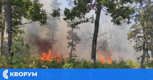 ​1 522 дка гори са изпепелени през юли в Централна Северна България