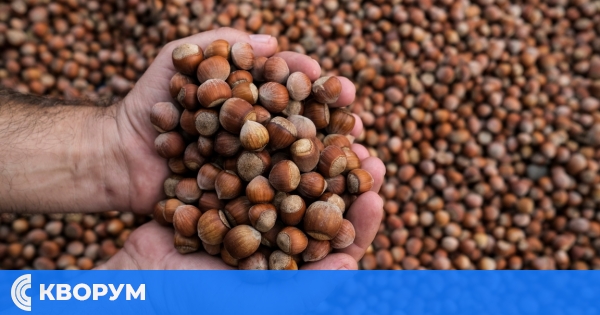 Цените на турските лешници скачат с над 50% годишно заради слаб добив
