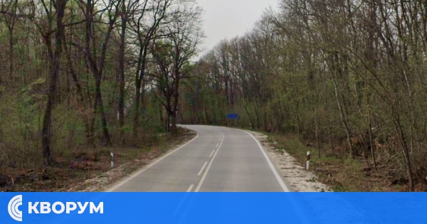 Втора катастрофа с животно на пътя за седмица в област Силистра