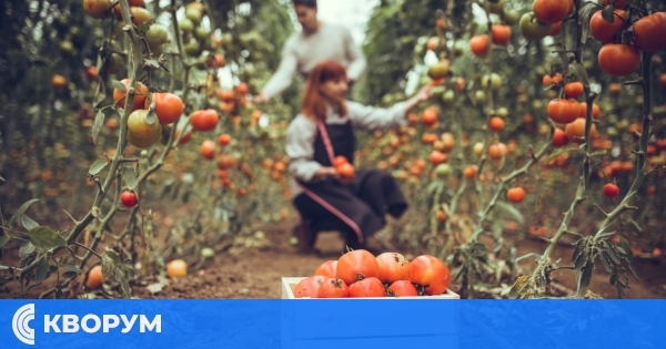 Опростяват еднодневните трудови договори в селското стопанство