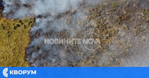 Пожар край "Калимок – Бръшлен" – огнеборци дежурят, за да предотвратят разпространението