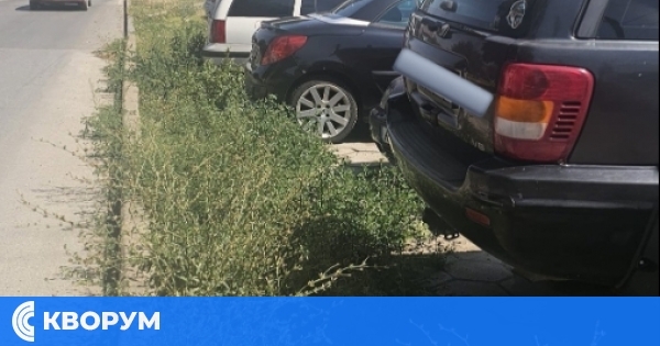 Косене на тревата в Дулово – Община призовава жителите да преместят автомобилите си