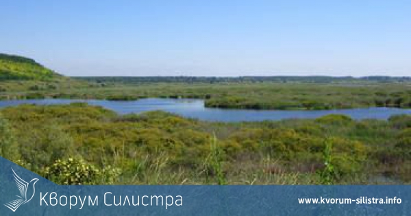 Залесяват резервата "Сребърна"