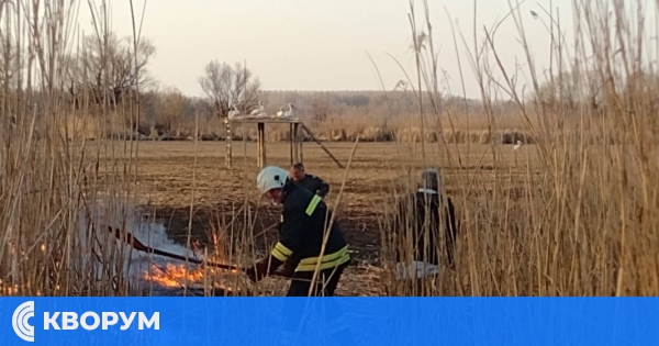 Пожарът в защитена местност "Калимок – Бръшлен" край Тутракан е овладян