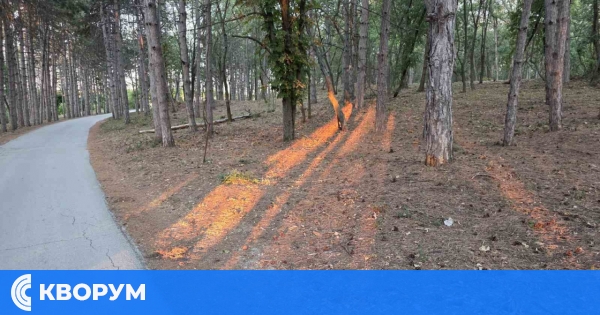 Горещ ден в Силистра – температурите в неделя скачат до 34°C