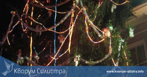 В центъра на Дулово грейна коледната елха