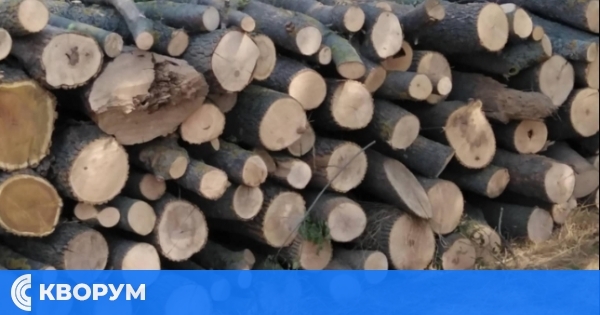 ДГС – Силистра предлага дърва за огрев на жителите на община Ситово