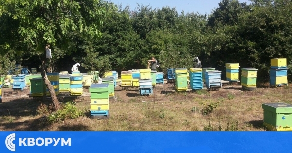 Силистренски пчелар: Колеги продават кошерите си и се отказват от занаята