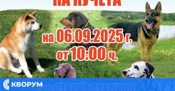 Екстериорна изложба на кучета в Силистра на 6 септември