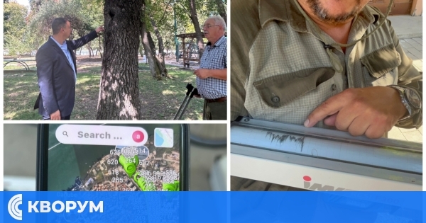 Стартира паспортизация и картотекиране на дърветата в Силистра