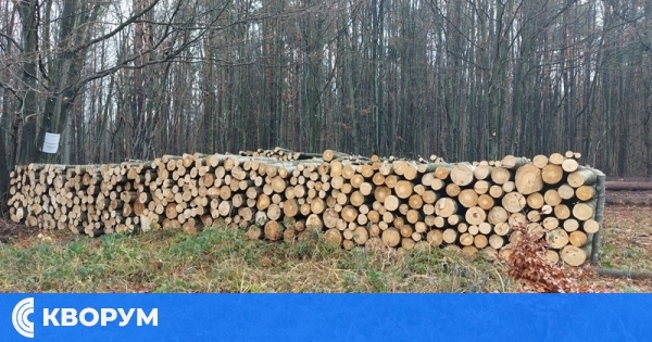 Горските служители извършиха над 1200 проверки в обхвата на СЦДП, включително и в Силистренско