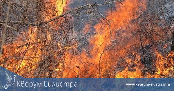 57-годишен мъж загина при пожар в Алфатар