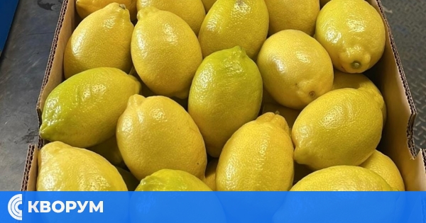България с най-скъпите лимони в Европа – килограмът достига до 13,83 лева