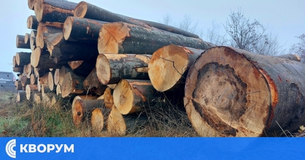 Близо 50 000 кубика дърва за огрев са предоставени на физически лица в обхвата на СЦДП