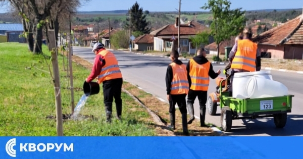 Хората, които се грижат за чистотата и реда в Община Главиница