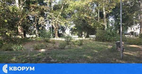 Променливо време през новата седмица в Силистренско